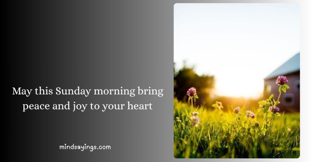 Good Morning Sunday Blessings
