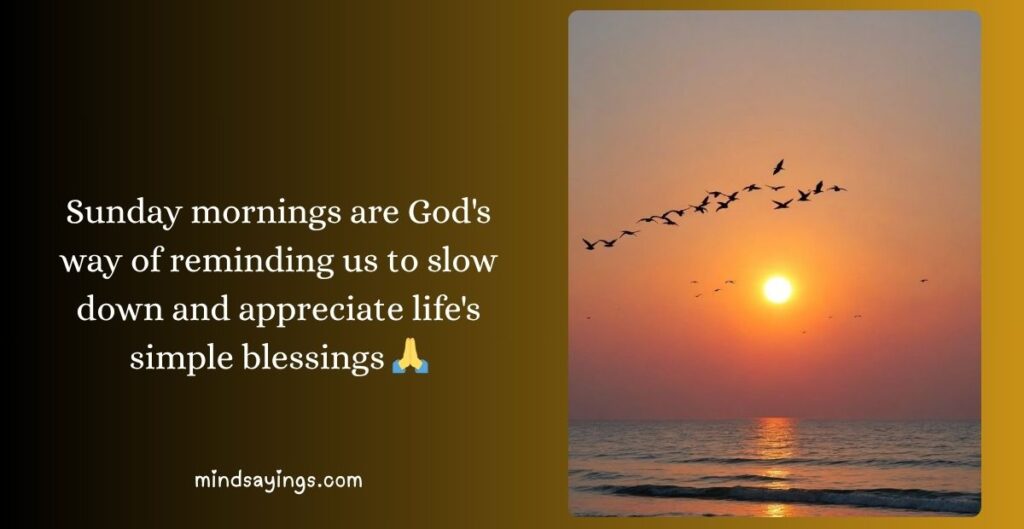 Sunday Blessings to Start Fresh