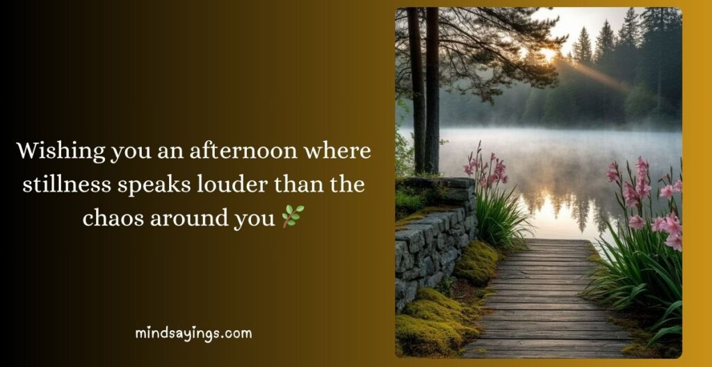 Positive Vibes Good Afternoon Blessings