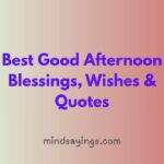 Best Good Afternoon Blessings, Wishes & Quotes