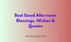 Best Good Afternoon Blessings, Wishes & Quotes