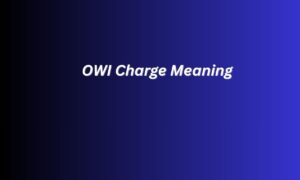 OWI Charge Meaning