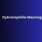Hybristophilia Meaning