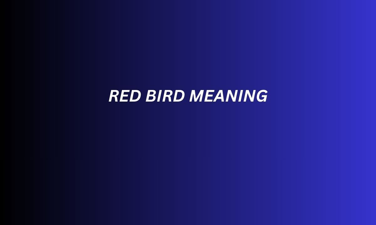 Red Bird Meaning