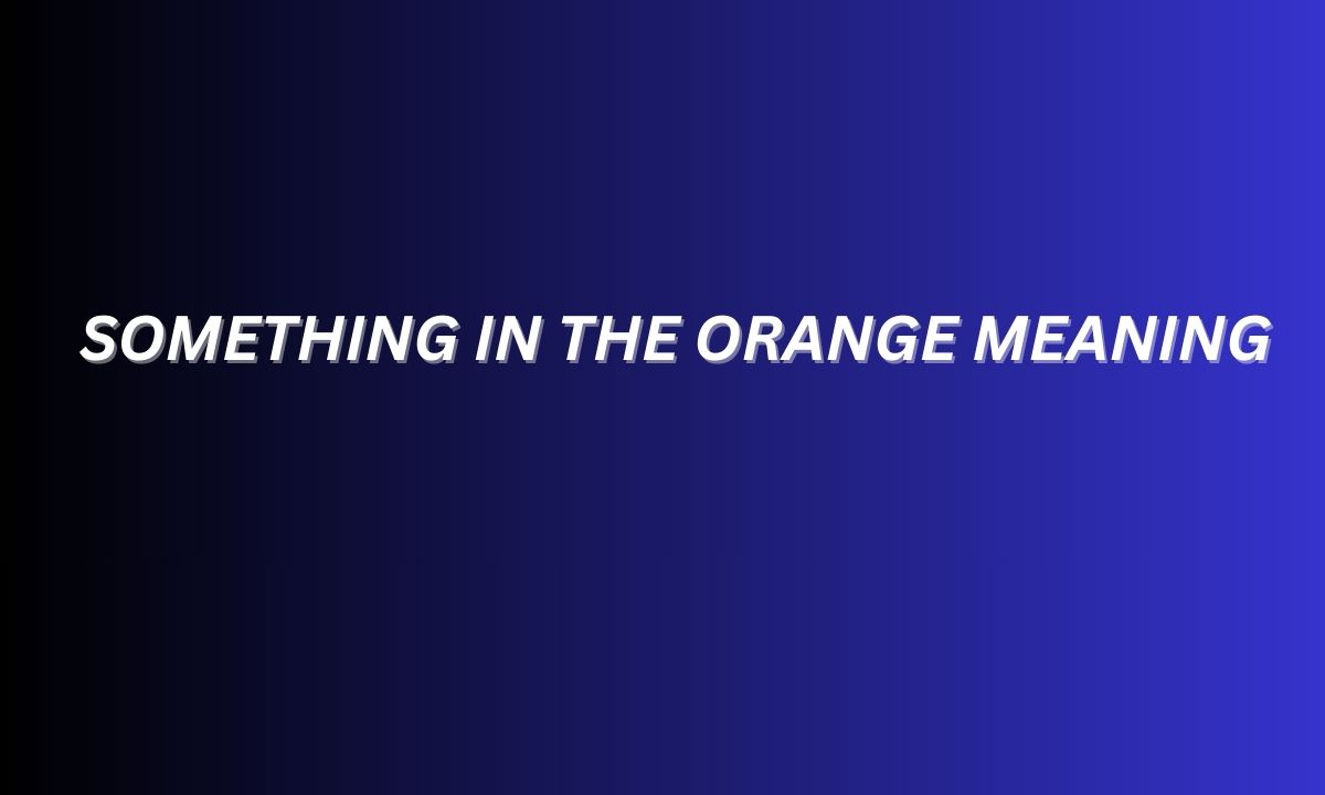 Something in the Orange Meaning